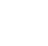 Vector